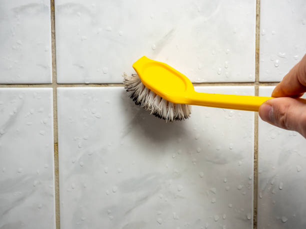 Best Best Mold Removal Companies  in Cherryland, CA