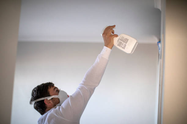 Best Emergency Mold Removal  in Cherryland, CA
